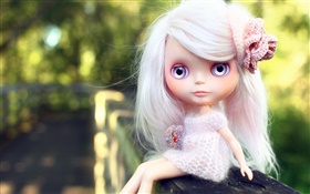 Белые волосы, игрушка девочка, кукла HD обои