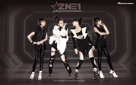 2NE1, корейский музыка девушки 07 HD обои