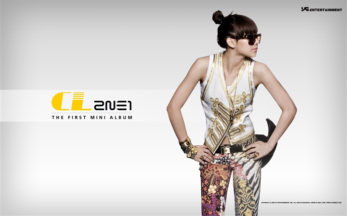2NE1, корейский музыка девушки 09 обои,s изображение
