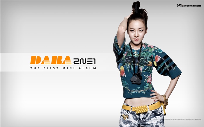 2NE1, корейский музыка девушки 10 обои,s изображение