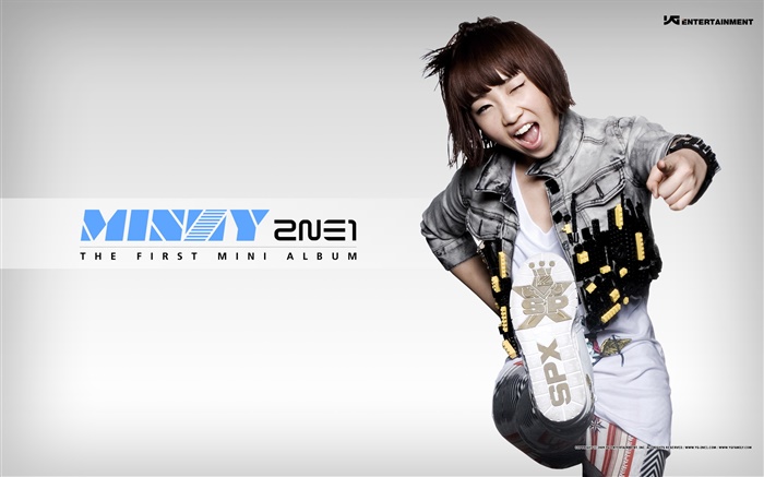 2NE1, корейский музыка девушки 11 обои,s изображение