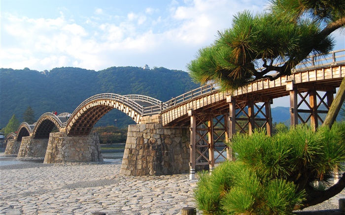Арочные деревянный мост, деревья обои,s изображение