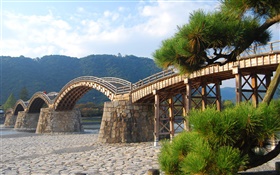 Арочные деревянный мост, деревья HD обои