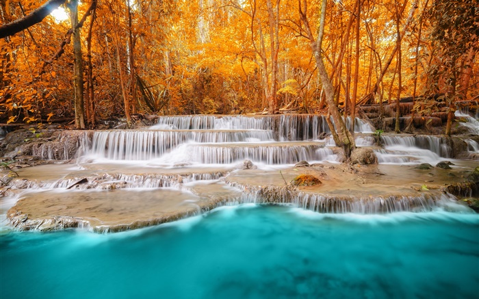 Осень, лес, деревья, река, водопады обои,s изображение