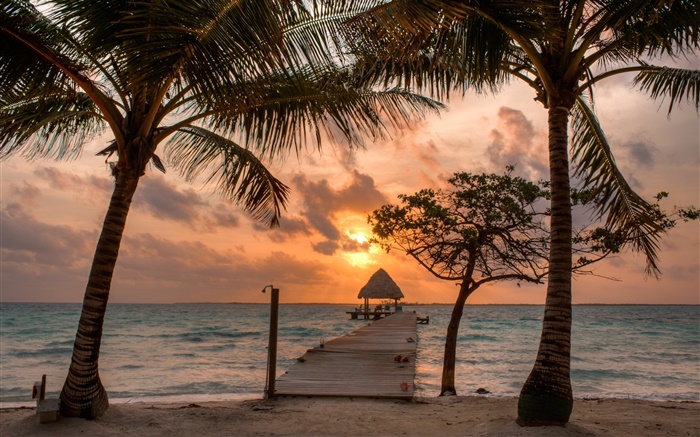 Пляж, пальмы, пирс, небо, облака, закат обои,s изображение
