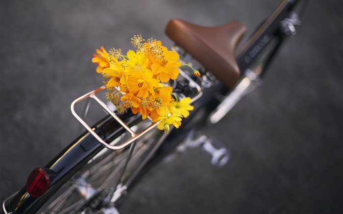 Велосипед, желтые цветы, букет обои,s изображение