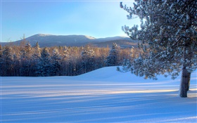 Буханка хлеба на горы, снег, деревья, зима, Вермонт, США