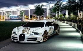 Bugatti Veyron белый суперкар, Нью-Йорк, деревья, ночь, огни