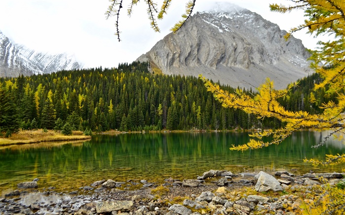 Честер озера, канадских Скалистых гор, Альберта, Канада, озеро, горы, лес обои,s изображение