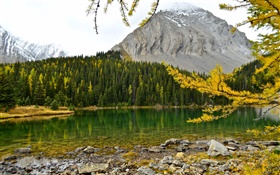 Честер озера, канадских Скалистых гор, Альберта, Канада, озеро, горы, лес HD обои