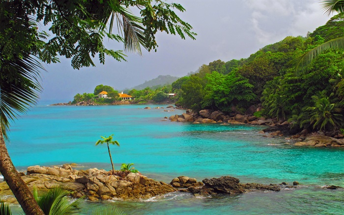 Побережье, море, деревья, дома, Сейшельские острова Остров обои,s изображение