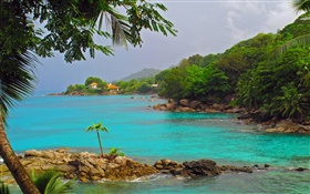 Побережье, море, деревья, дома, Сейшельские острова Остров HD обои