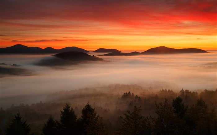 Рассвет, горы, лес, облака, красное небо, туман обои,s изображение
