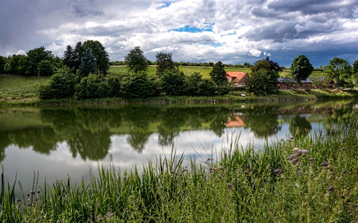 Дания, Ланга, Midtjylland, река, трава, деревья, поля, облака обои,s изображение