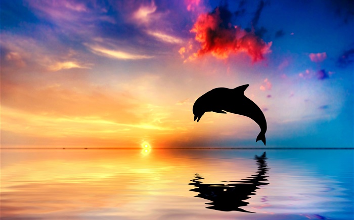 Дельфин прыжок, силуэт, океан, вода отражение, закат обои,s изображение