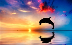 Дельфин прыжок, силуэт, океан, вода отражение, закат HD обои