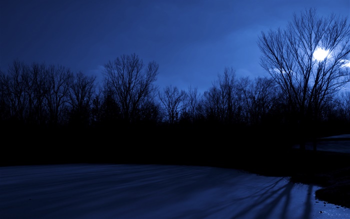 Пасха Озеро, деревья, ночь, луна, Де-Мойн, штат Айова, США обои,s изображение