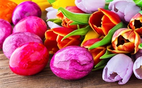 Пасхальные яйца, тюльпан цветы HD обои