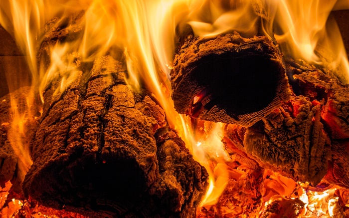 Пламя, огонь, дерево, жара обои,s изображение