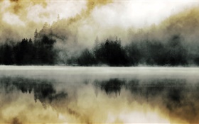 Лес, озеро, туман, рассвет, вода отражение HD обои