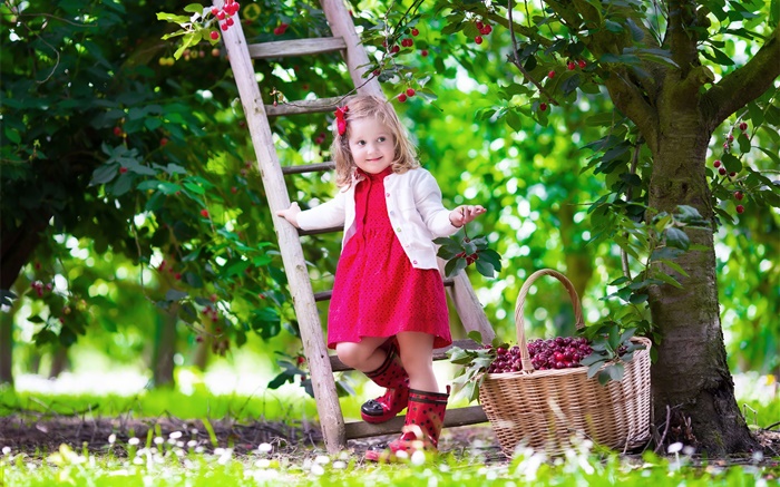 Маленькая девочка сбор вишни, ребенок, дерево, сад обои,s изображение