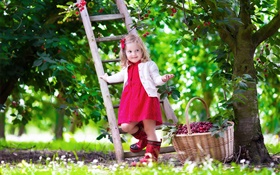 Маленькая девочка сбор вишни, ребенок, дерево, сад HD обои