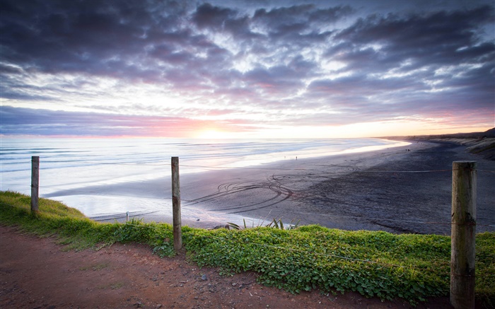 Muriwai пляж, закат, Окленд область, Новая Зеландия обои,s изображение