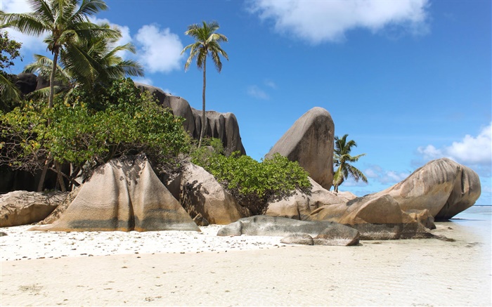Сейшельские острова, пляж, камни, пальмы обои,s изображение