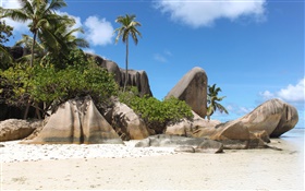Сейшельские острова, пляж, камни, пальмы HD обои