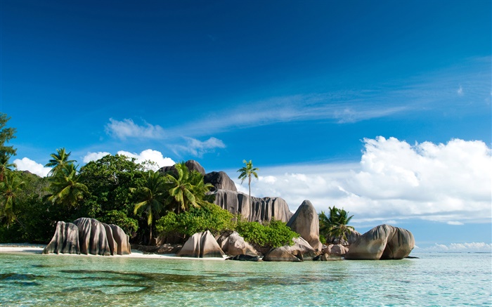 Сейшельские острова, море, побережье, камни, пальмы, облака обои,s изображение