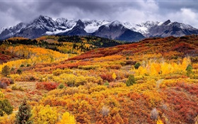 склон, горы, деревья, осень, облака HD обои