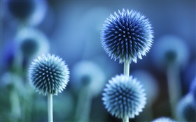 Сферические цветы, синий стиль