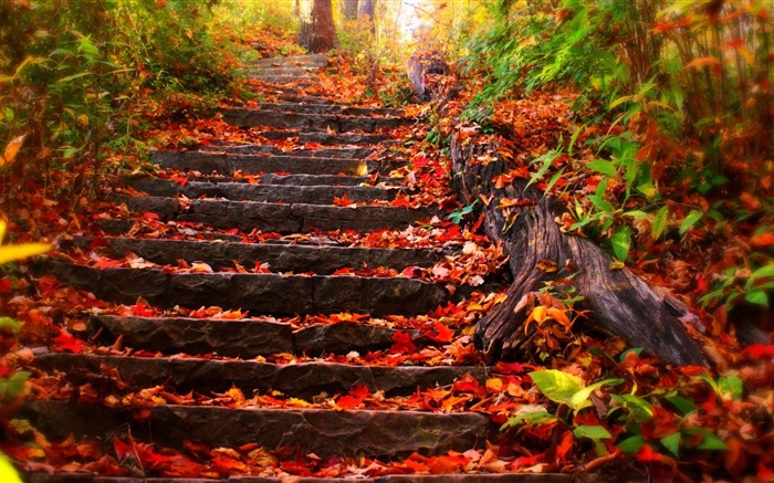 Каменная лестница, красные листья, осень обои,s изображение