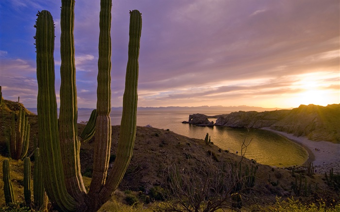 Закат, горы, море, Остров Санта-Каталина, Калифорния, США обои,s изображение