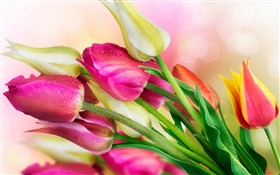 Тюльпаны цветы, капли воды HD обои