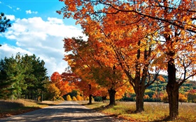 Осень, дорога, деревья HD обои