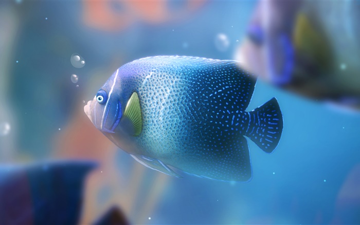 Синий аквариумных рыб крупным планом обои,s изображение