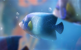 Синий аквариумных рыб крупным планом HD обои