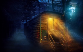 Лес, ночь, полная луна, деревянный дом, огни HD обои