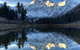 Горы, озеро, деревья, отражение воды, снега