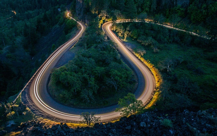 Ночь, дорога, деревья, фонари обои,s изображение