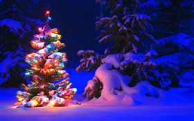 Снег, фонари, деревья, зима, ночь, Рождество