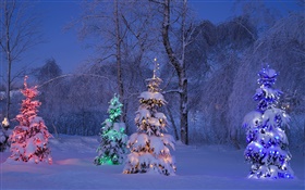 Снежные, освещенные деревья, зима, Канада
