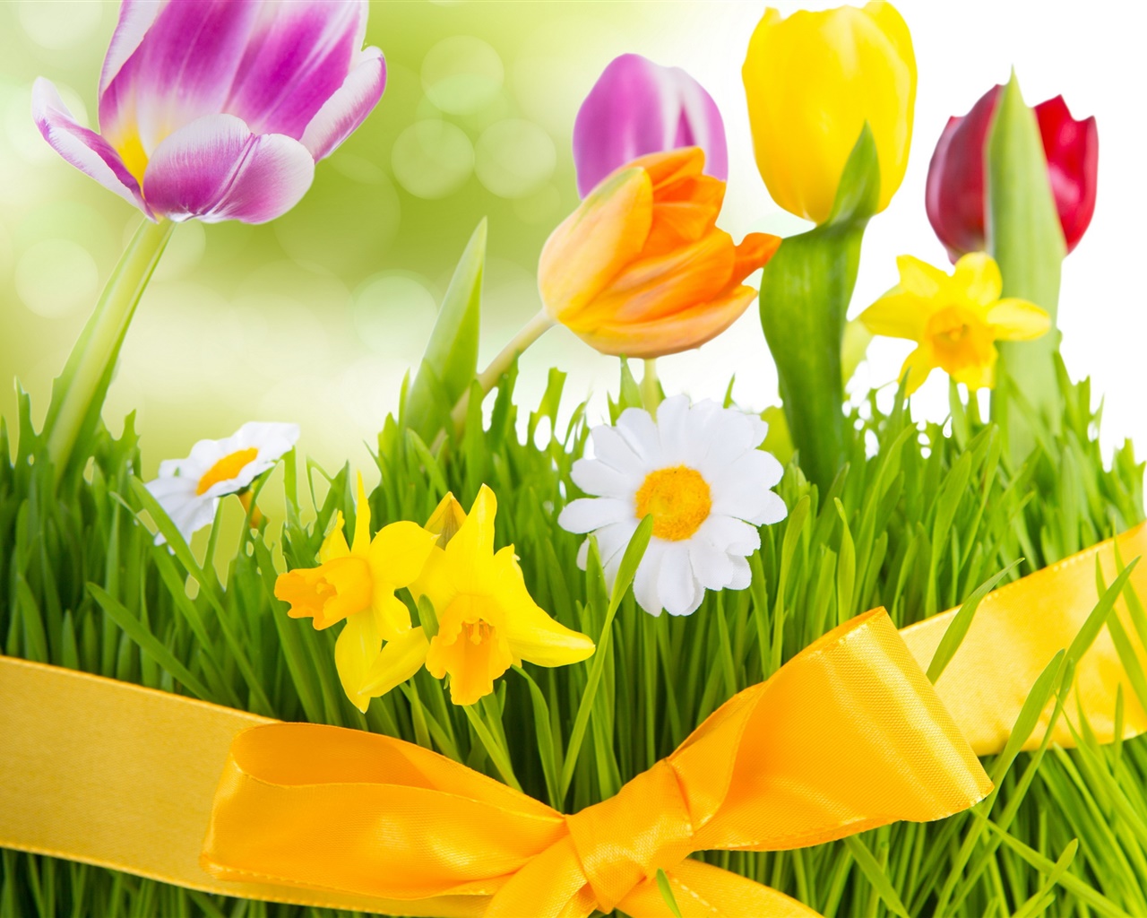 Spring-colorful-flowers-tulips_1280x1024_wallpaper.jpg