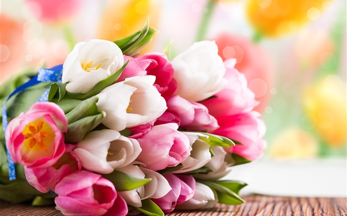 Весна, тюльпаны, цветы, белый, розовый обои,s изображение