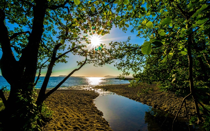 Солнечные лучи, деревья, озеро обои,s изображение
