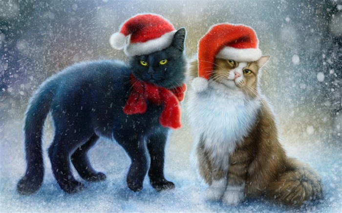 Две кошки, снег, шарф, шляпа Рождество обои,s изображение