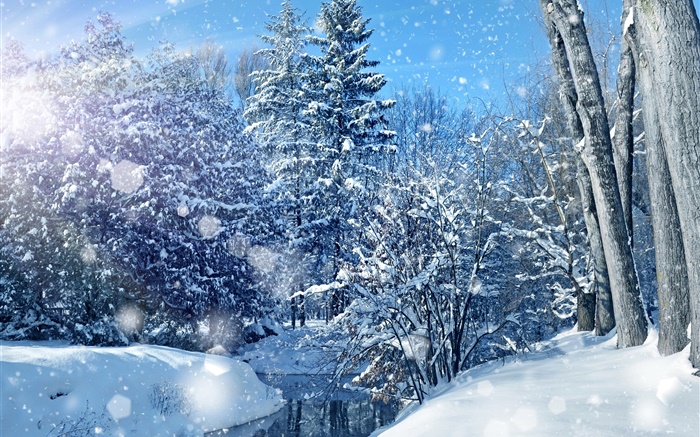 Зима, лес, деревья, река, снег толщиной обои,s изображение