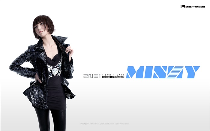 2NE1, корейский музыка девушки 15 обои,s изображение