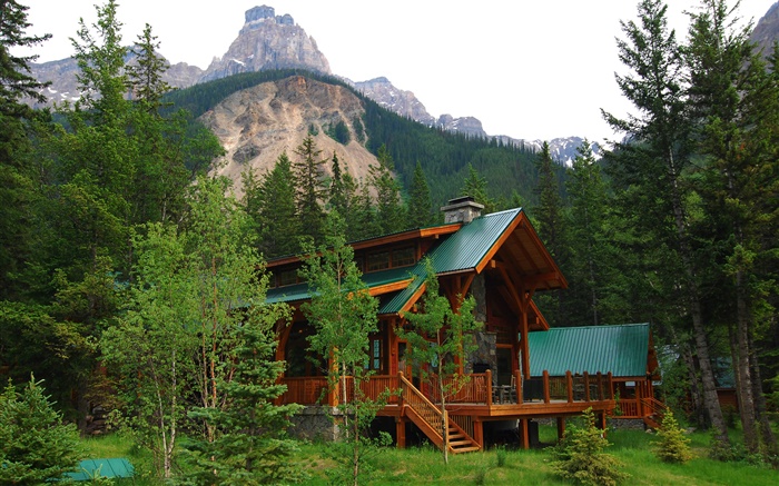Альберта, Канада, вилла, дом, лес, деревья, горы обои,s изображение